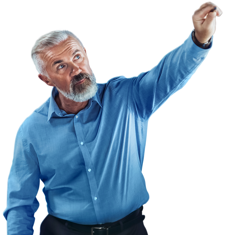 Financial audit of a large company